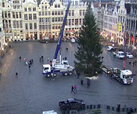 Transport et manutention du sapin de Noël de la Grand Place de Bruxelles depuis 2018